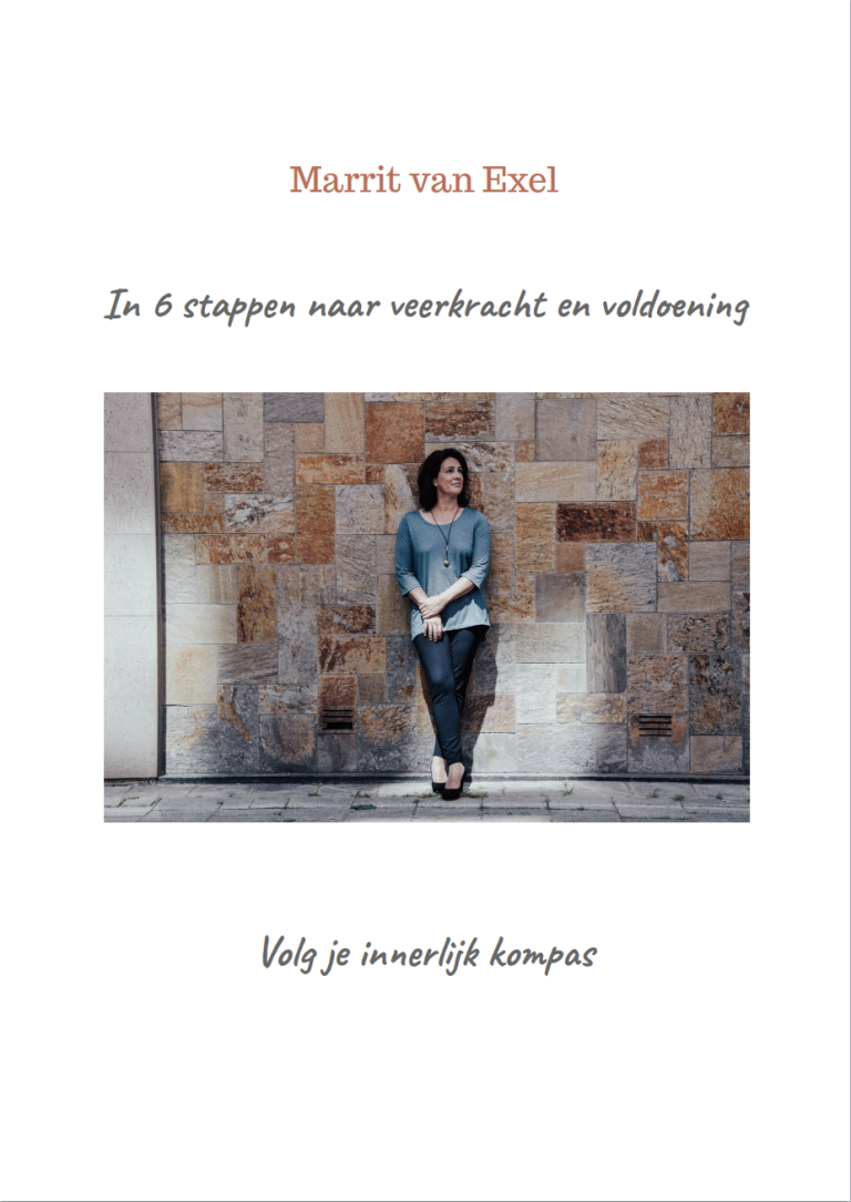 Cover-ebook-6-stappen-veerkracht-voldoening