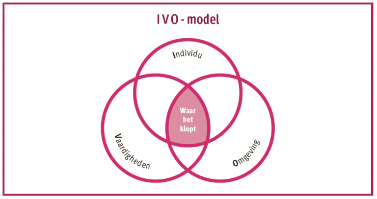 IVO-model™ van Marrit van Exel met Individu, Vaardigheden en Omgeving