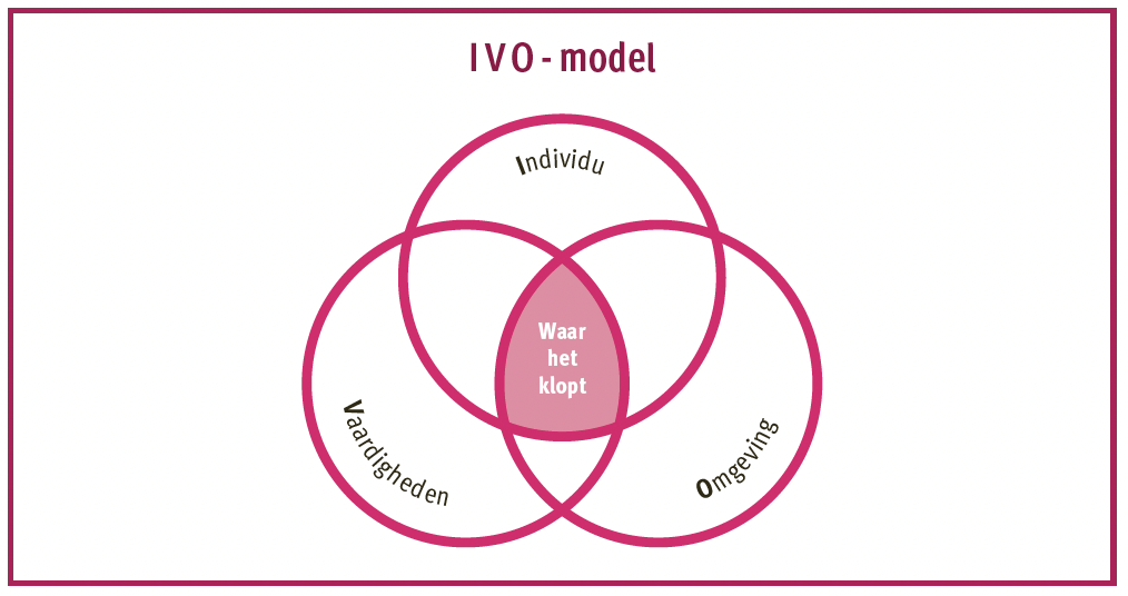 IVO-model™ van Marrit van Exel met Individu, Vaardigheden en Omgeving