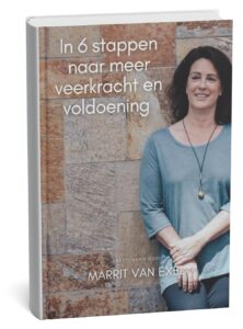 ebook marrit van exel 6 stappen veerkracht voldoening